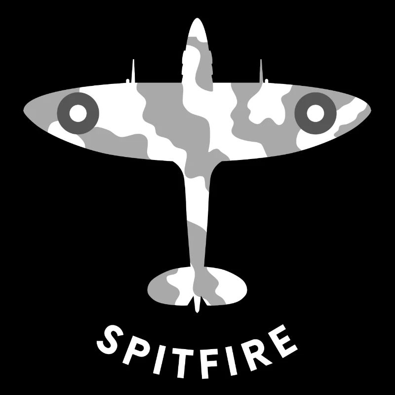 Avion de chasse de Spitfire