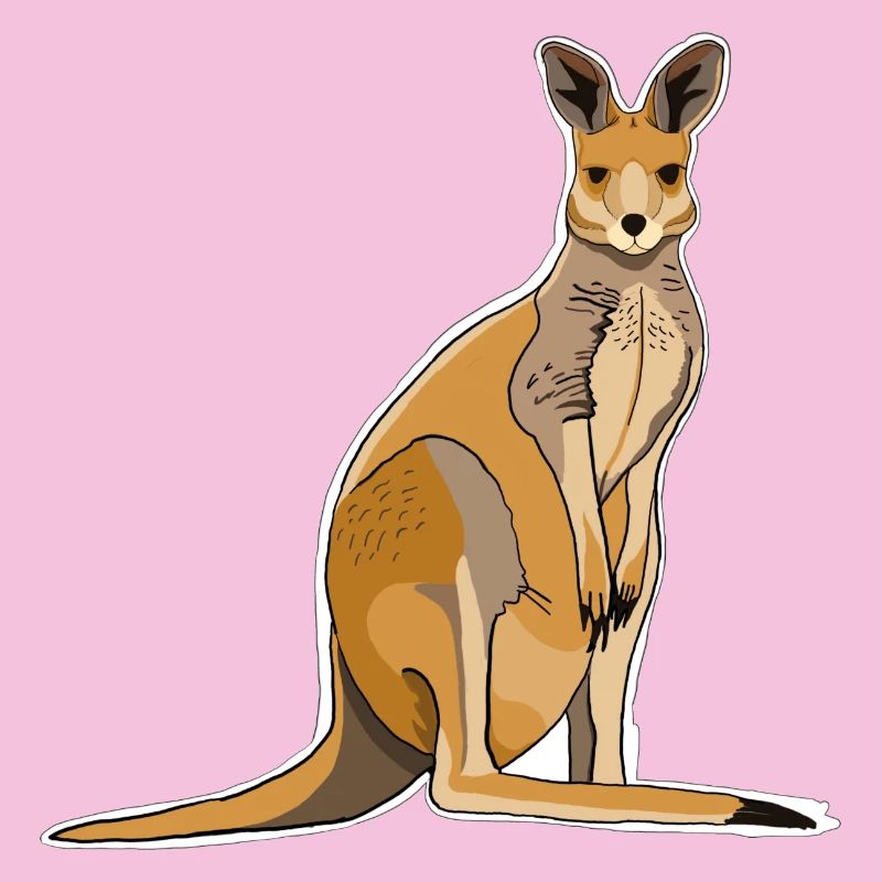 Kangaroo