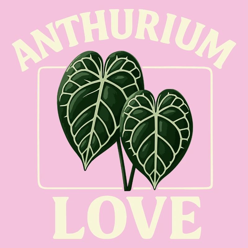 Anthurium Love