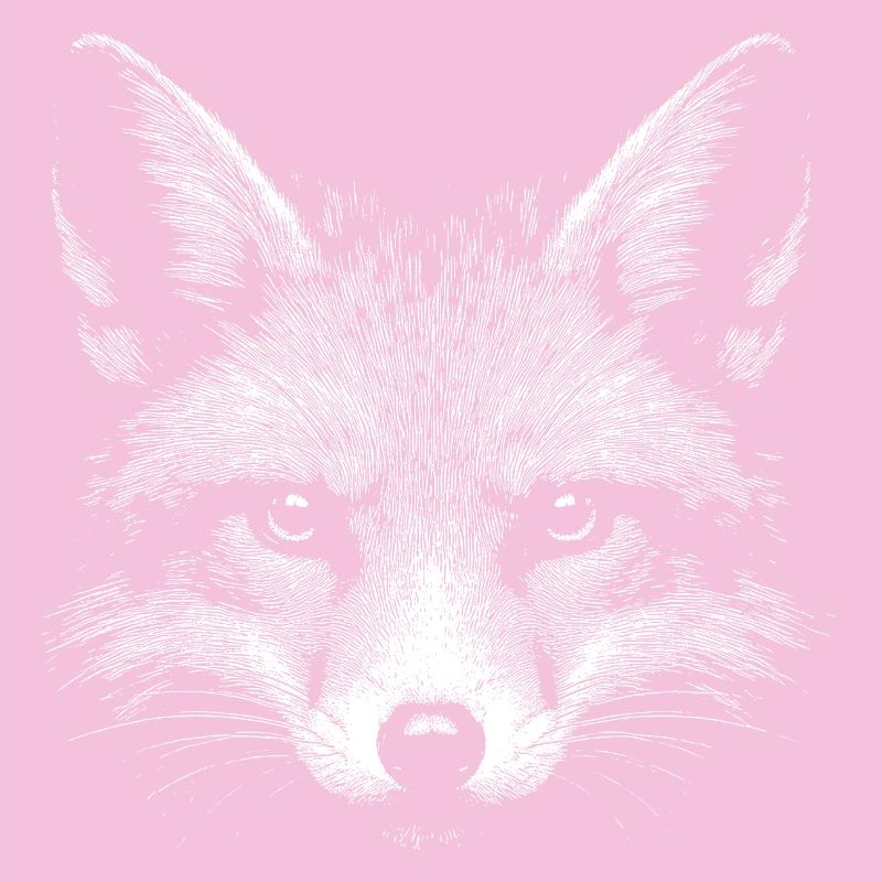 Red fox