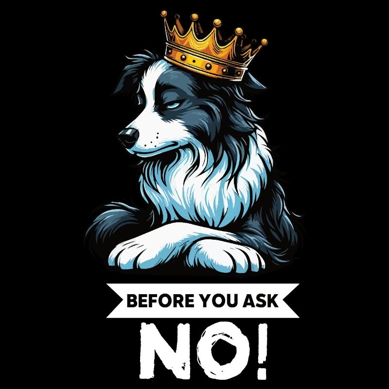 Before You Ask Border Collie Hütehund Collie