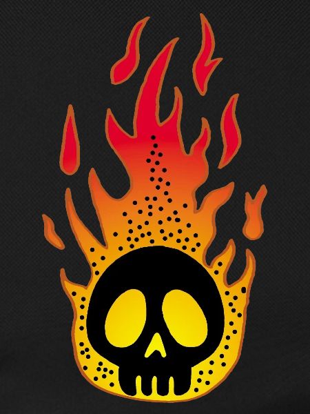 Stylized Flaming Skull