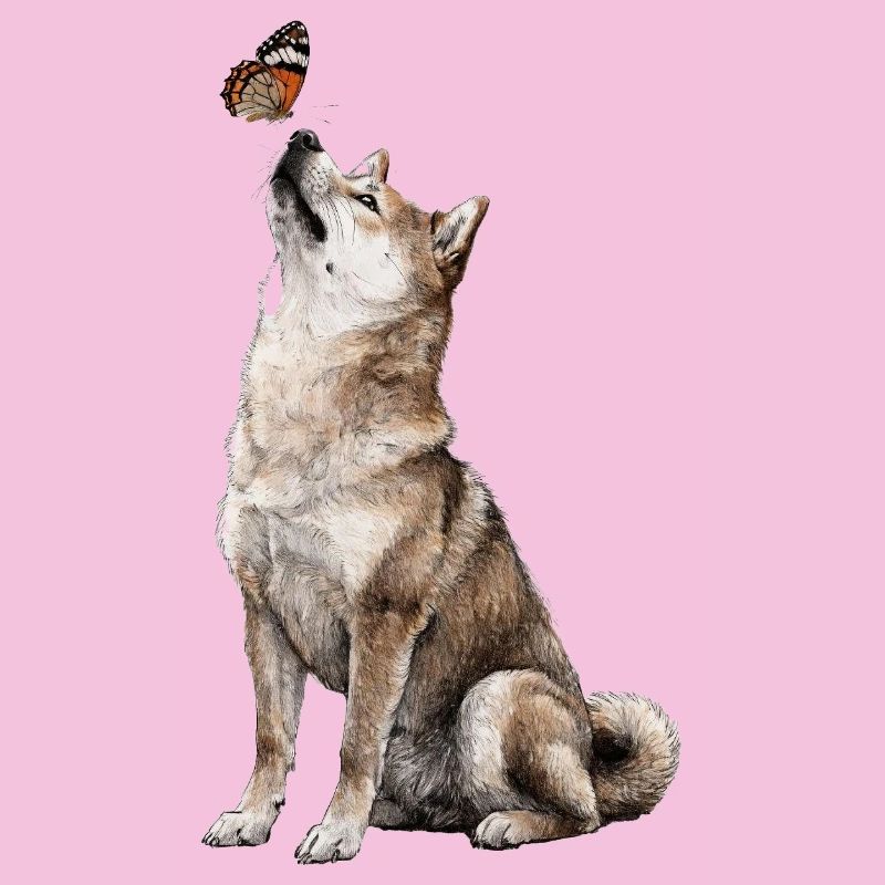 Chien loup avec motif papillon