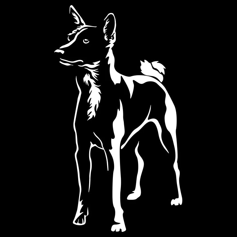 Basenji "Black Edition"