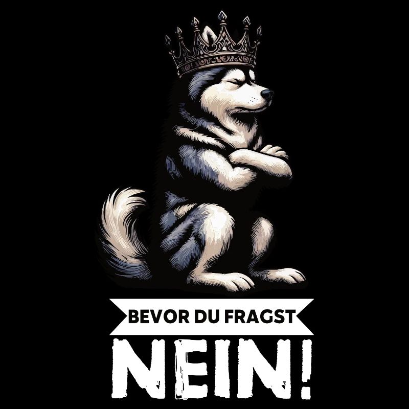 Before you ask Husky Huskies Husky Owners