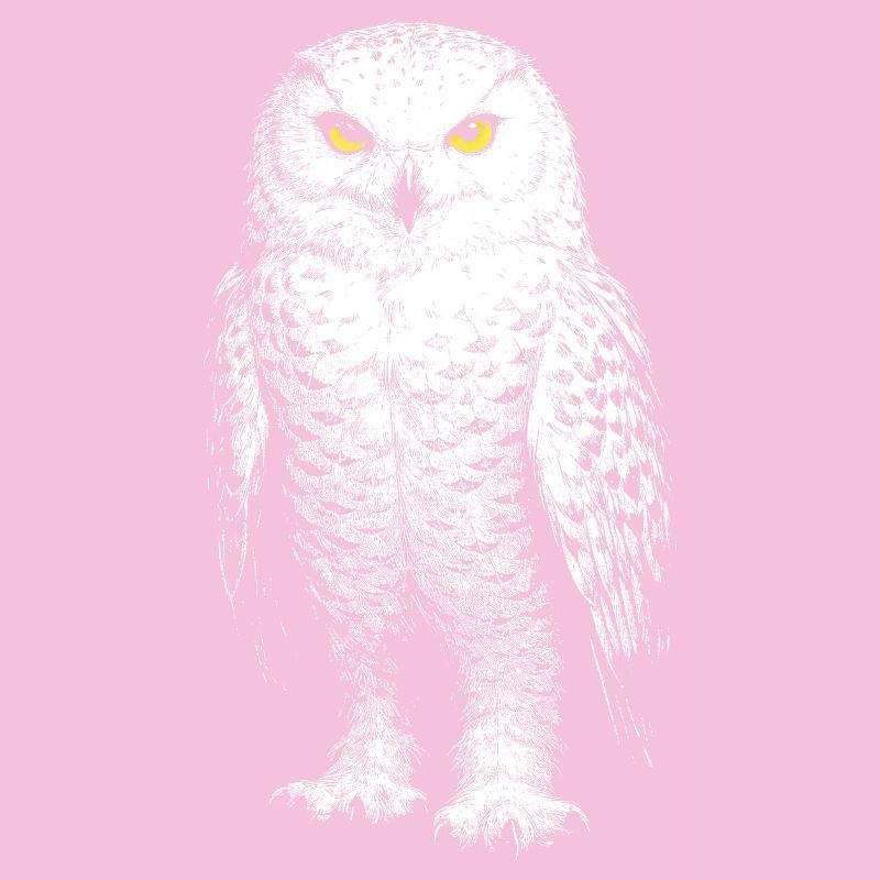 Schneeeule
