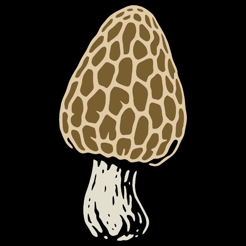 Morille - Cueilleur de champignons - Champignons - Dicton