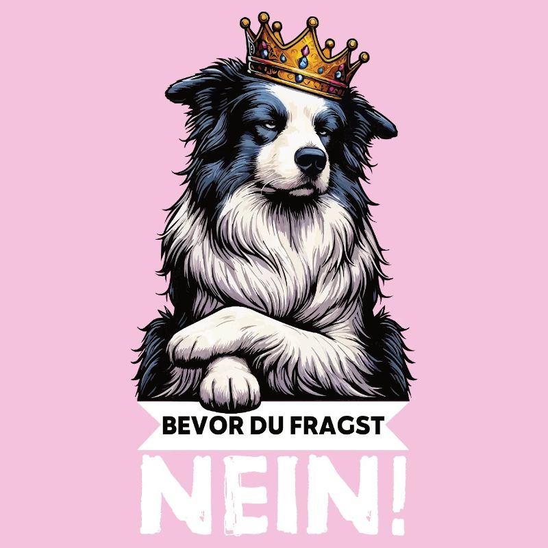 Before you ask: Border Collie, Herding Dog, Collie Dog