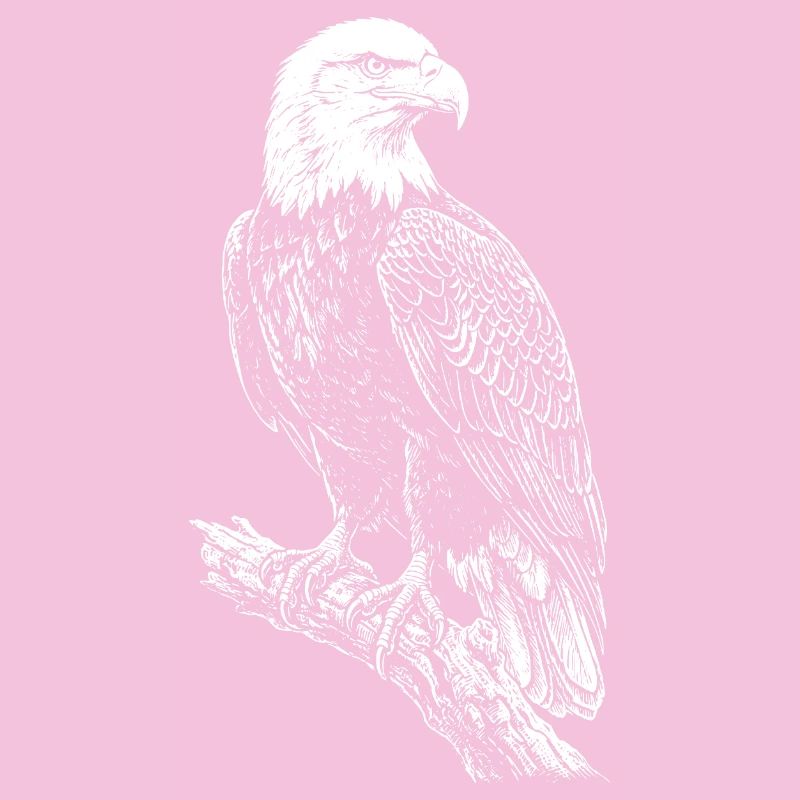 Perched Eagle Silhouette