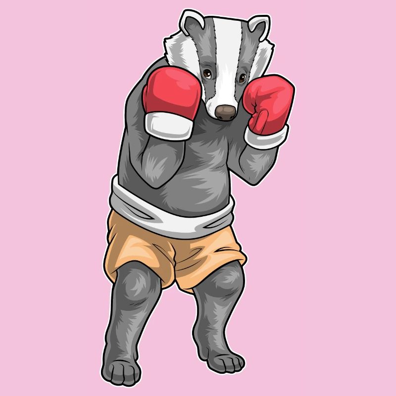 Badger Boxer Gants de boxe Boxe