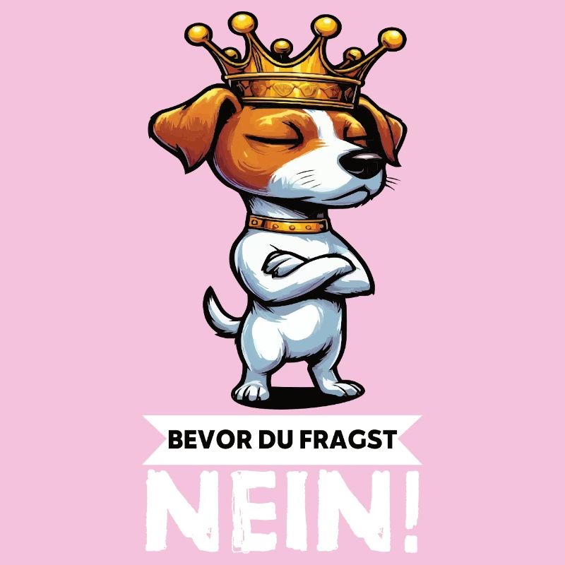 Before You Ask Jack Russel Terrier Jackie Terrier