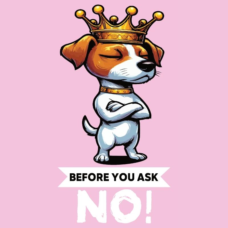 Avant de demander Jack Russel terrier Jack Russel chien