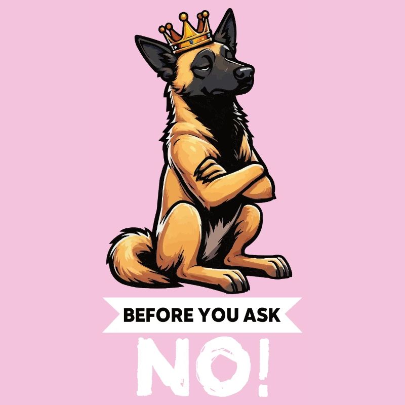 Before You Ask Malinois Belgian Shepherd Dog
