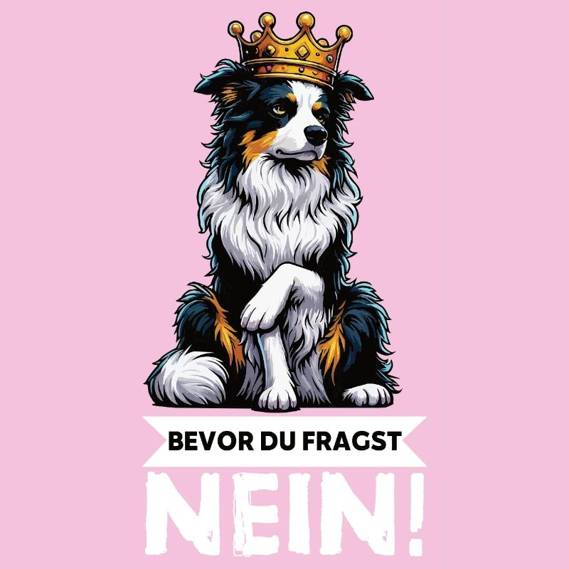 Bevor Du Fragst Australian Shepherd Aussie Aussie