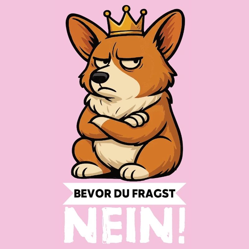 Before you ask: Corgi Corgi Welsh Corgi Corgi Dog