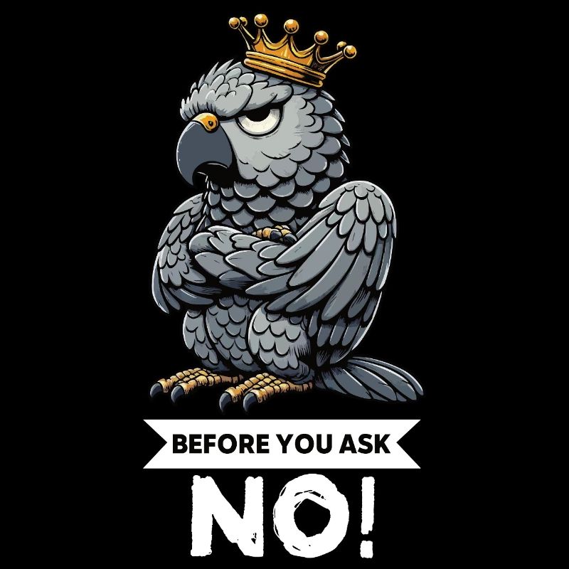 Before You Ask African Grey Parrot Parrot Parrot Holder