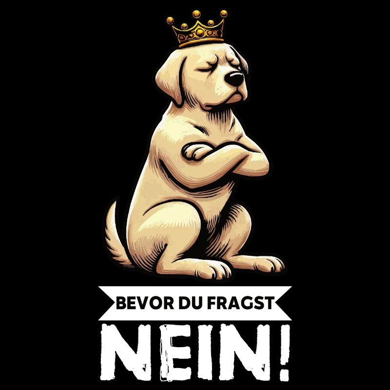 Avant que vous ne demandiez : pas de propriétaire de Labrador Labrador