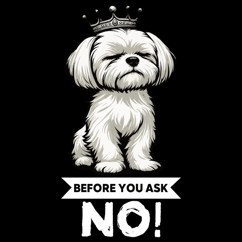 Before You Ask Malteser Maltese Owners Maltese