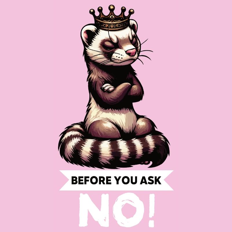 Before You Ask Ferret Ferret Owner Rodent