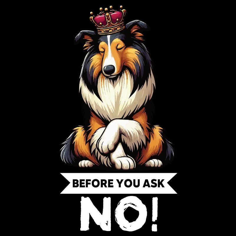 Avant de demander Collie, Collieowner Collie, Collie.