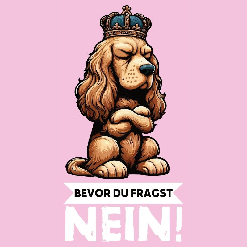 Before you ask: Cocker Spaniel Cocker Dog