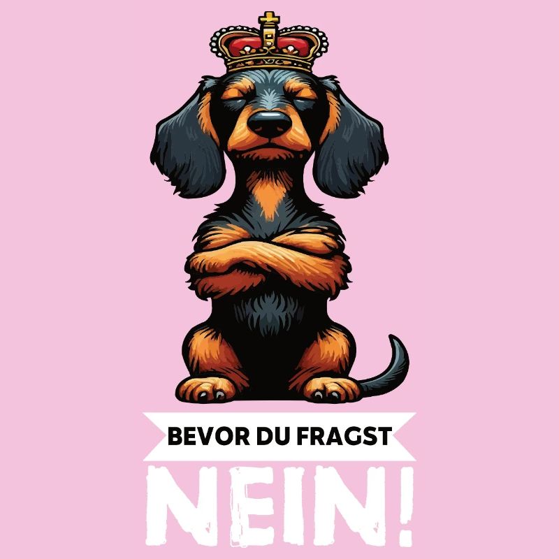 Bevor Du Fragst Nein Rauhaardackel Dackel Teckel