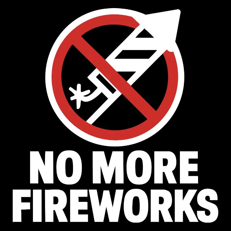 Plus de feux d’artifice – Édition du réveillon du Nouvel An