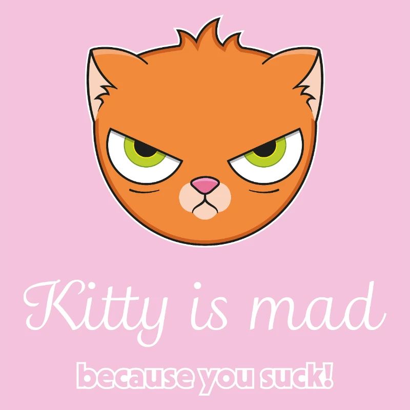 Angry Cat