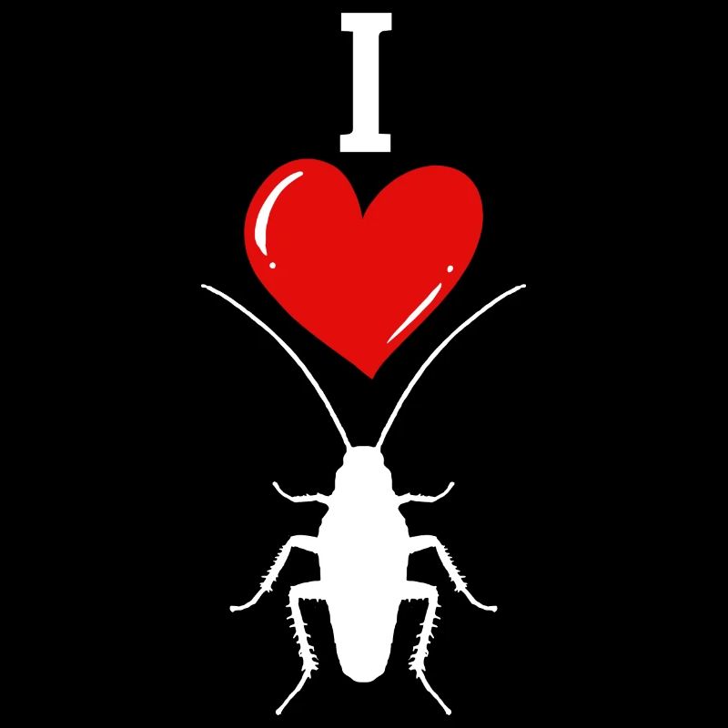 insecte cafard