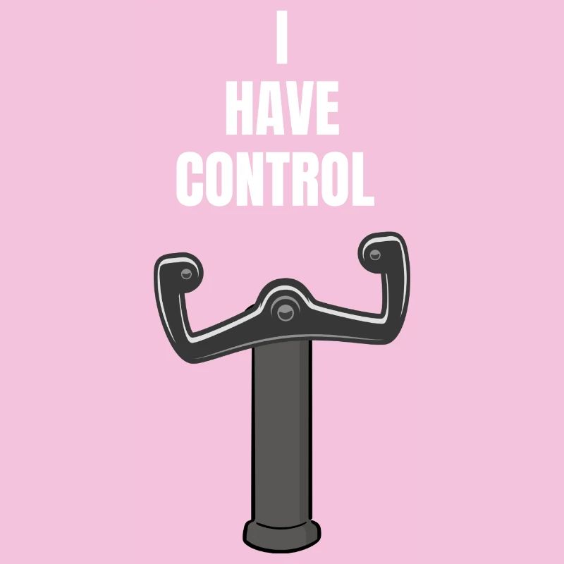 Pilot Flugzeug fliegen - I HAVE CONTROL