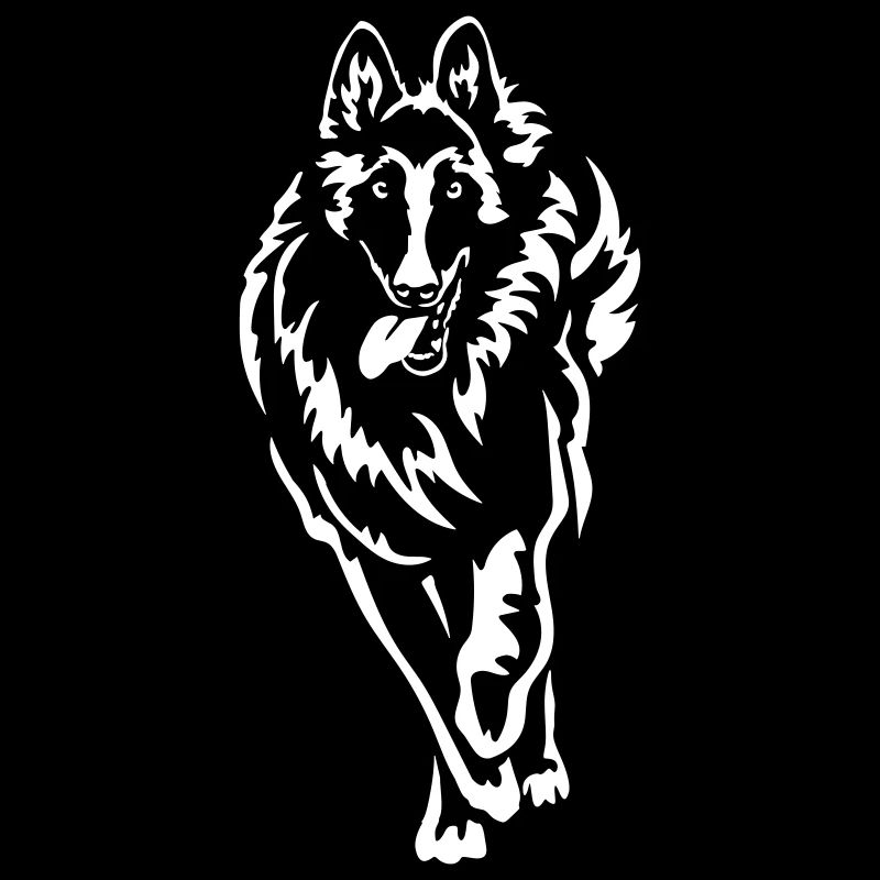 Tervueren "Black Edition"