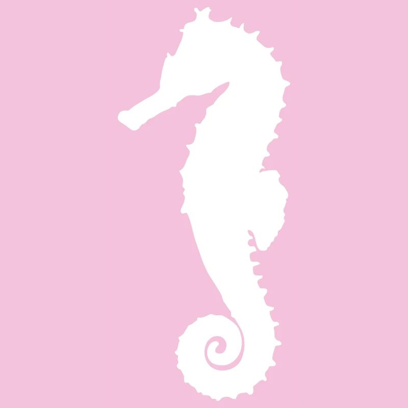 Hippocampe blanc