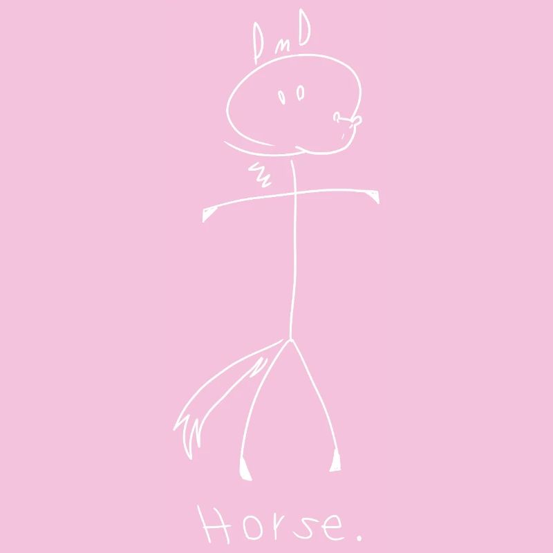 cheval. (lignes blanches) (par Leni Riosa)
