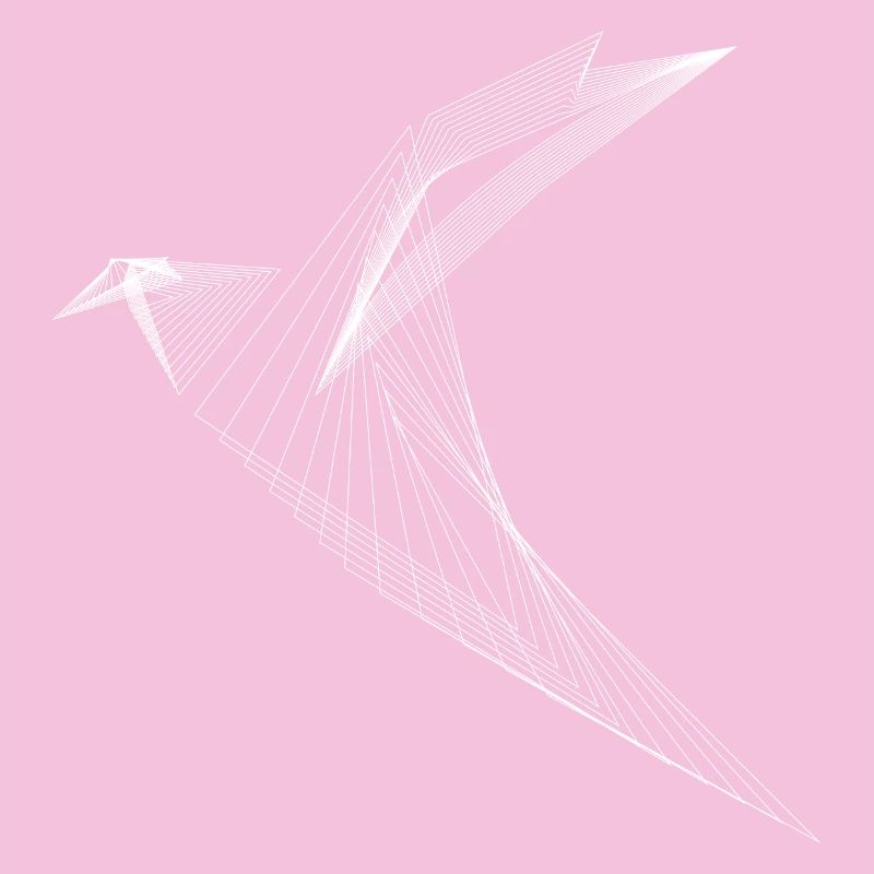 Lignes géométriques Oiseaux Minimal Design