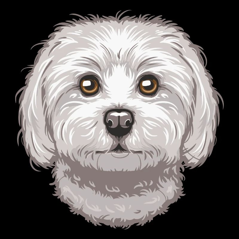 Maltese