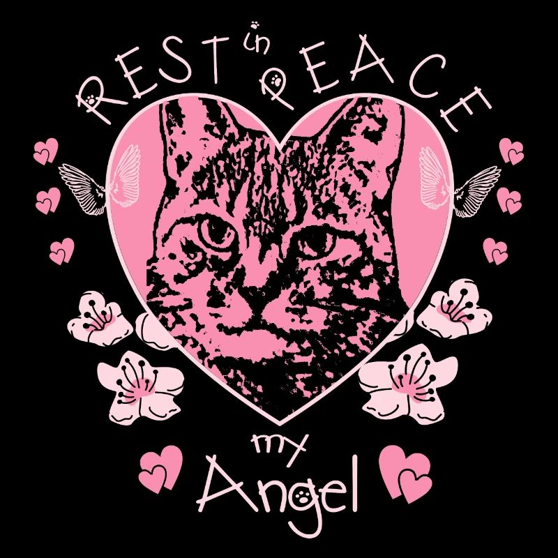 Katzen Engel