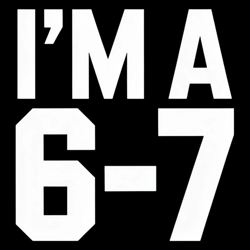 I'M A 6 7 Funny Saying Humor