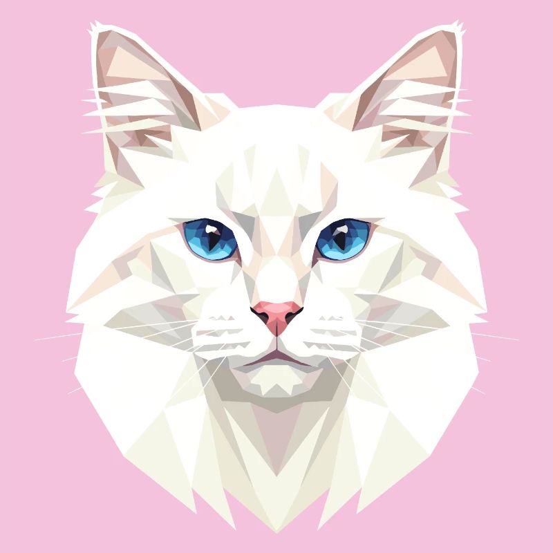 Chat Angora Chat Angora Chat Angora Mignons Chats Angora