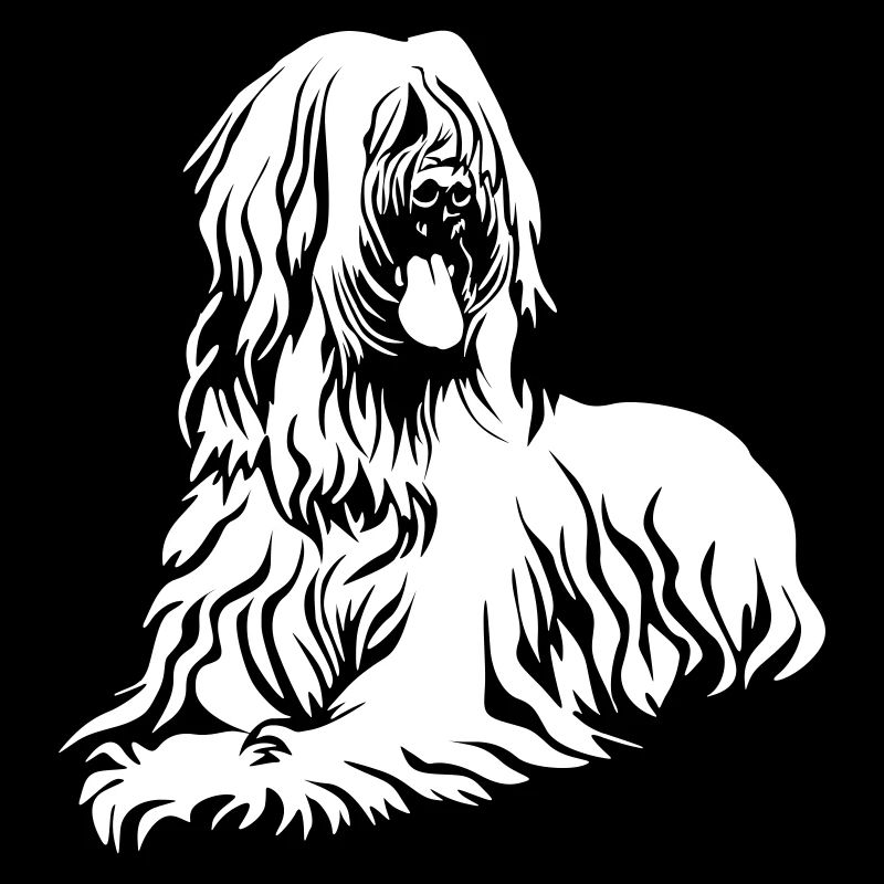 Briard « Black Edition »