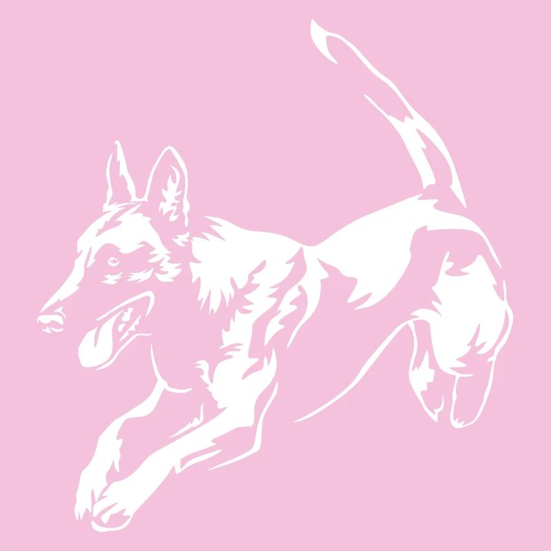 Malinois "Black Edition"