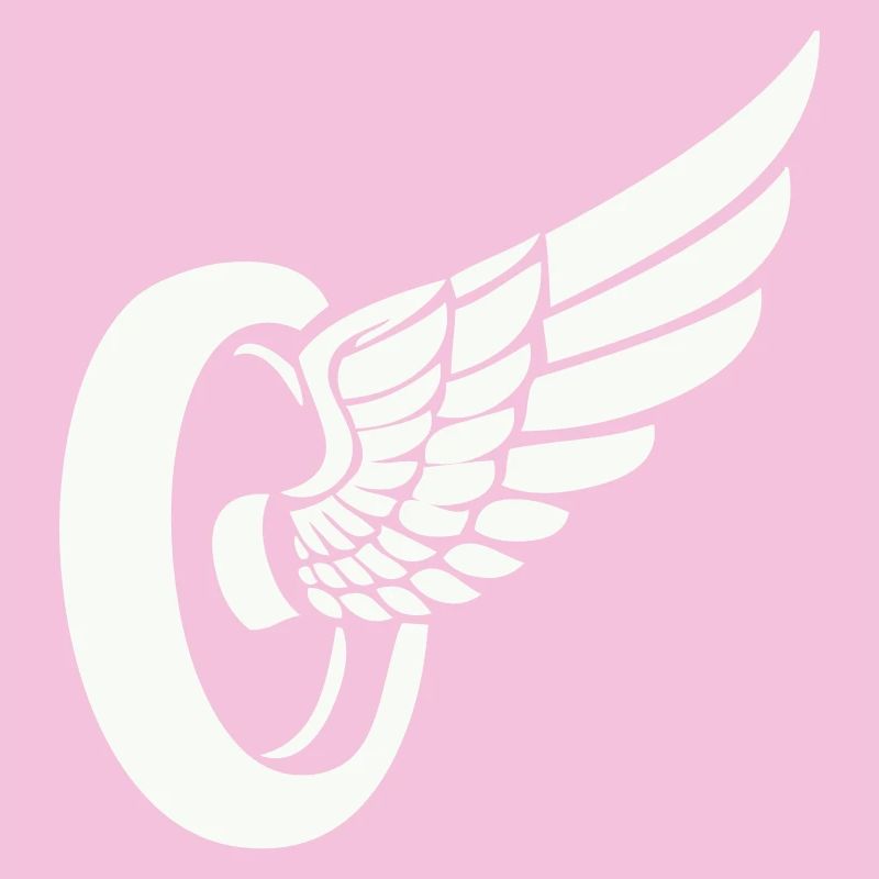 Ailerons de pneus