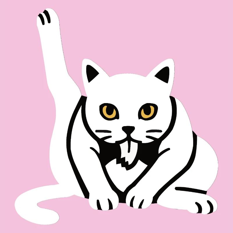 Drôle de chat chats chat amoureux chaton