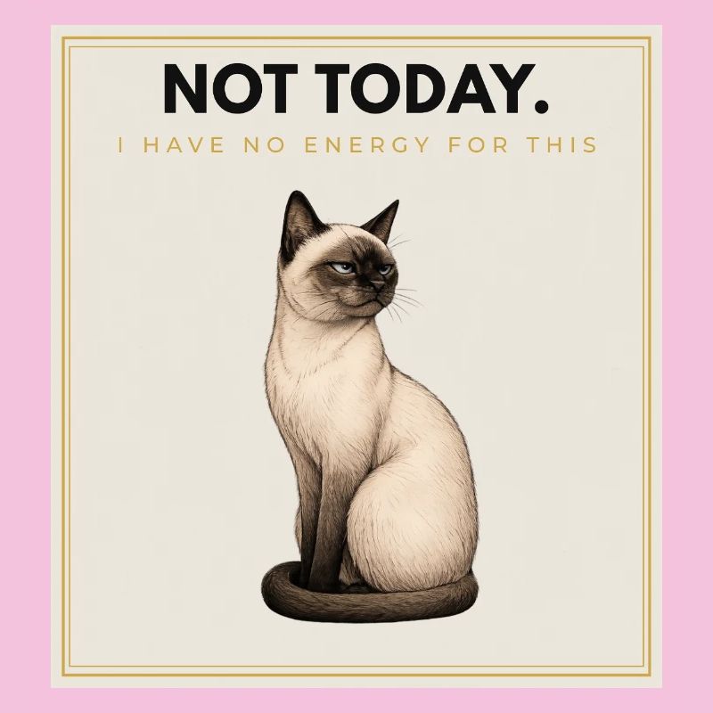 PAS AUJOURD’HUI. Noble Cat Introverti Conception du Mème