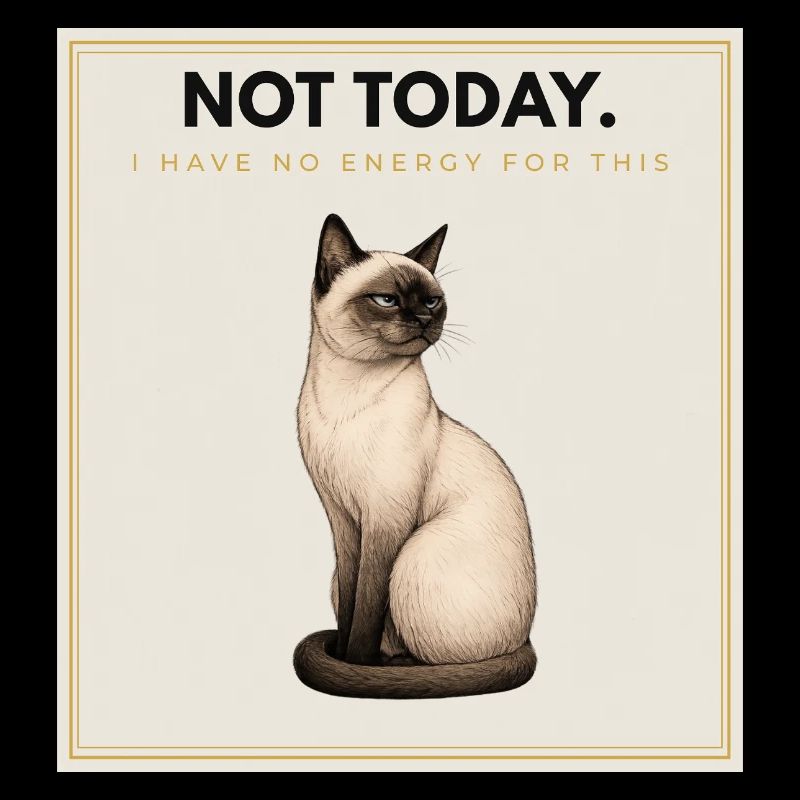 NOT TODAY. Noble Cat Introvert Meme Design