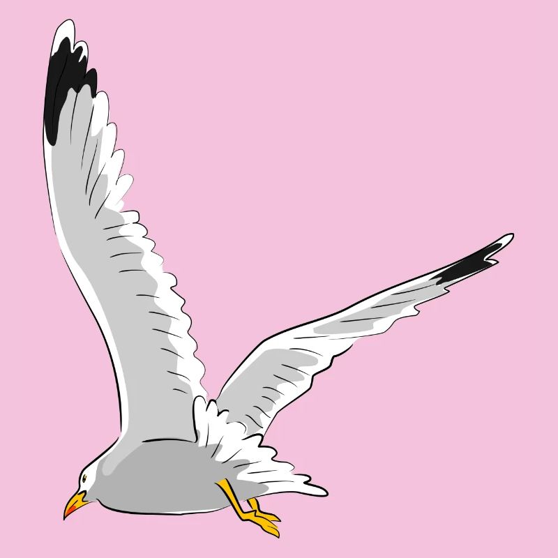 Möwe im Flug