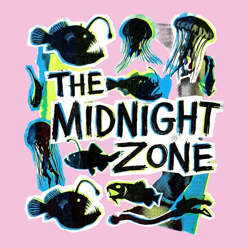 The Midnight Plastic Zone