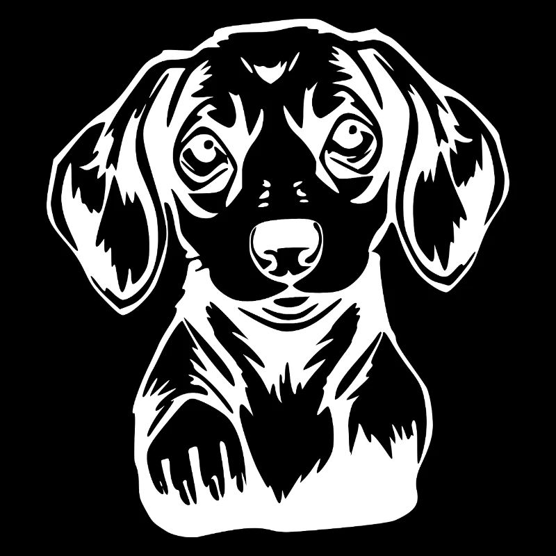 Teckel T-shirt teckel Cadeau