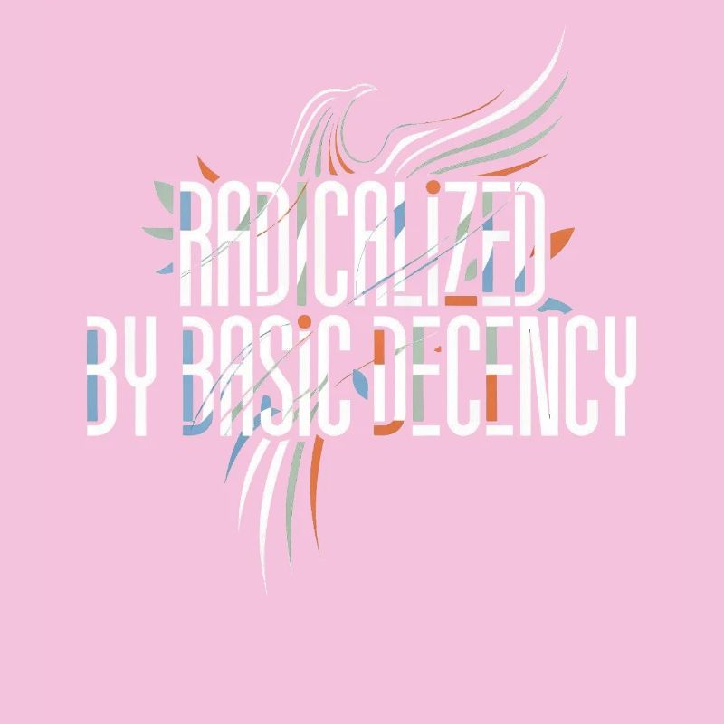 Radicalized by Basic Decency Shirt for Activists