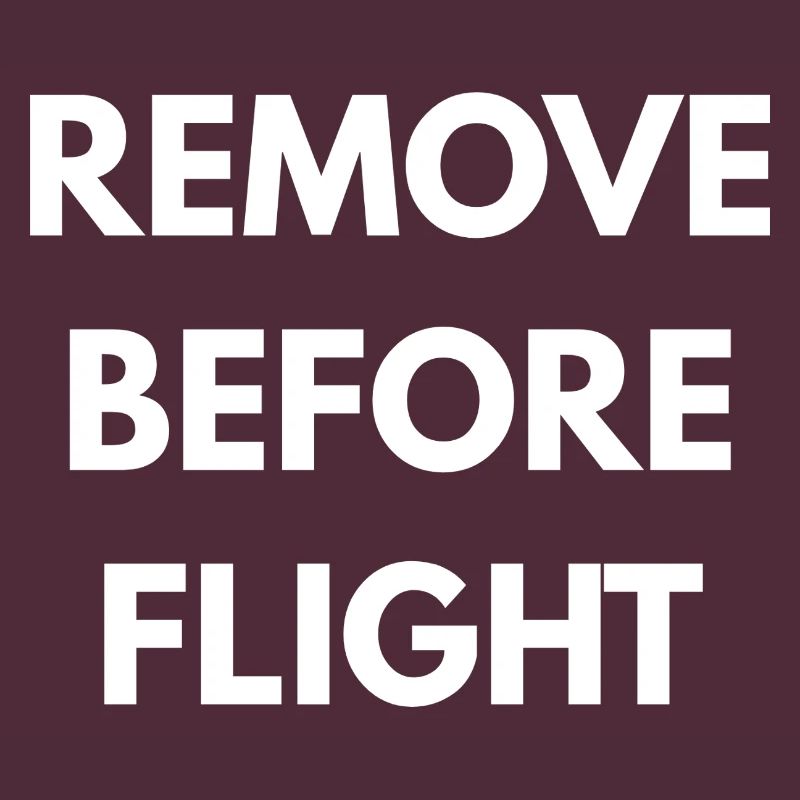 REMOVE BEFORE FLIGHT