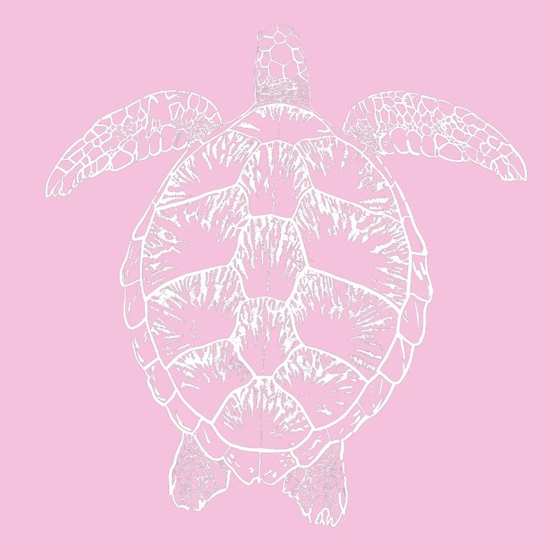 Turtle white2